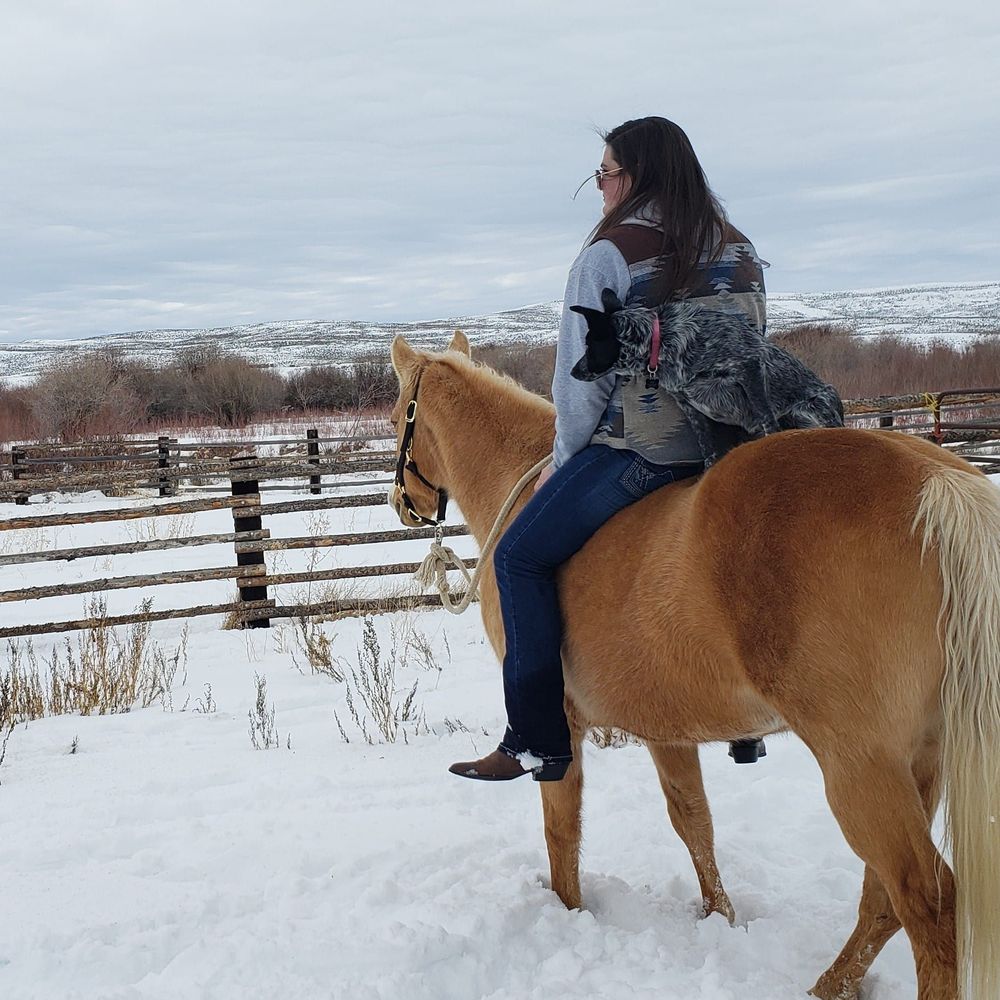 Meet your Posher, Clara